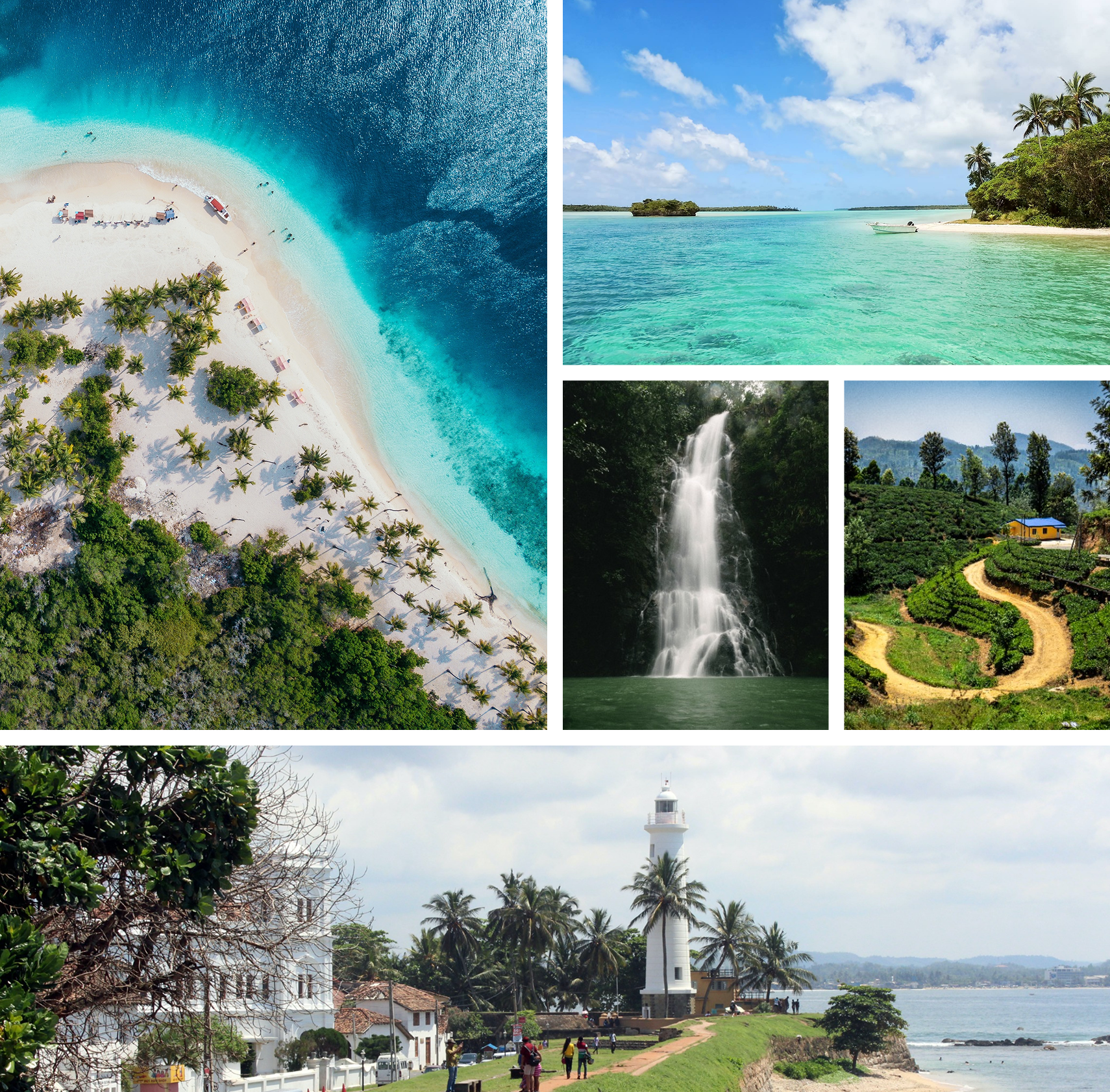 Lanka Super Lions Tour Experience